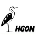 Logo HGON