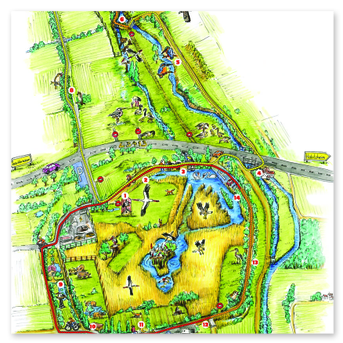 Wanderwege am Reinheimer Teich - zum Vergrößern klicken