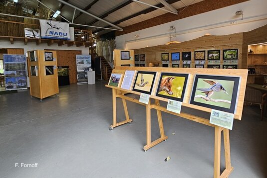 Fotoausstellung Lebendige Vielfalt