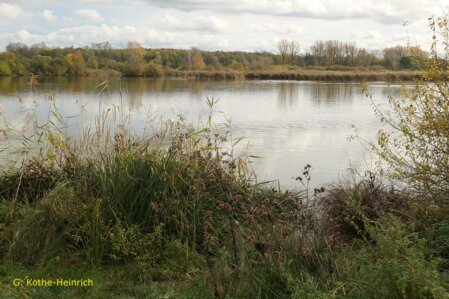 Reinheimer Teich und Gersprenzaue